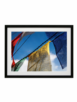 NEPAL NR24, zwart, P. Vanddewalle